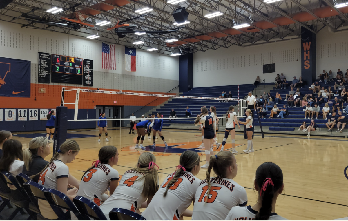 🏐 SMASH & DOMINATE: Wolverine Volleyball sets up during their playoff run - dominating over Turner.